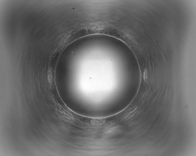 X0000065261299200602171444