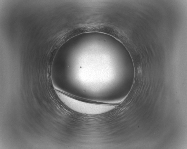 X0000065261300200602171444