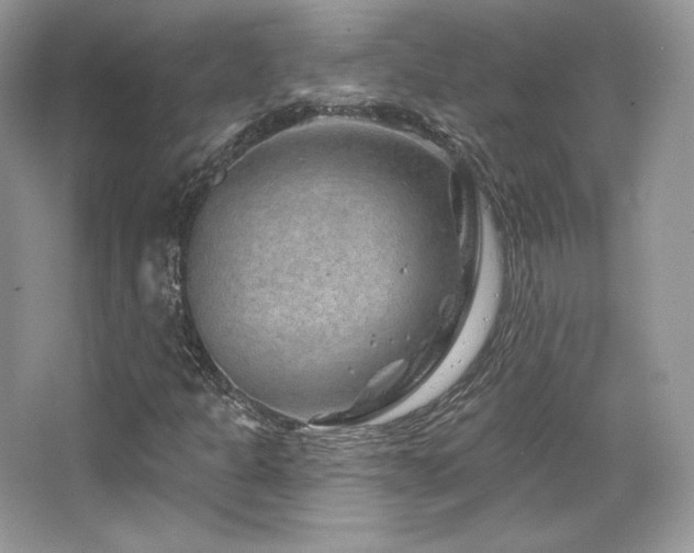 X0000065261301200602171444