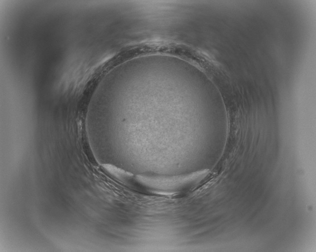 X0000065261302200602171444