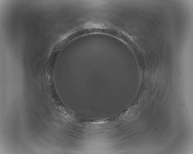 X0000065261303200602171444