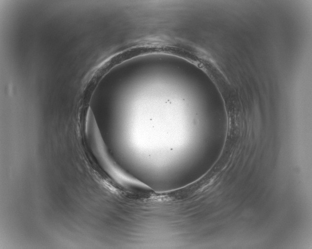 X0000065261304200602171444