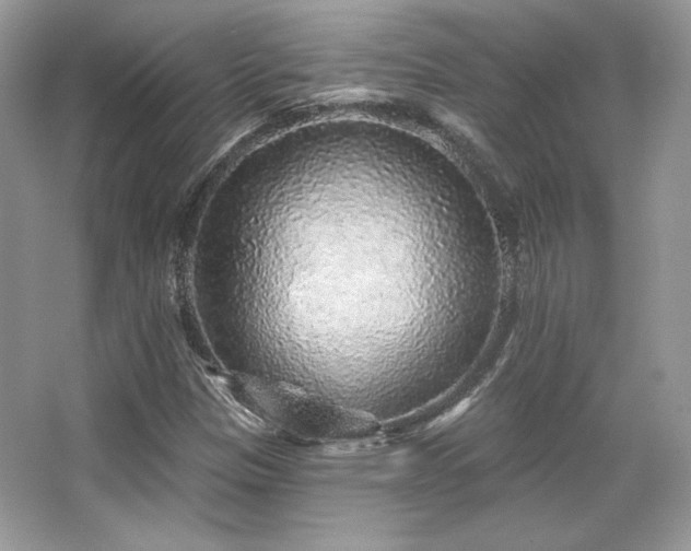 X0000065261305200602171444