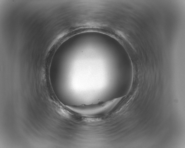 X0000065261307200602171444