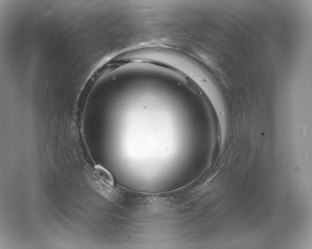 X0000065261308200602171444