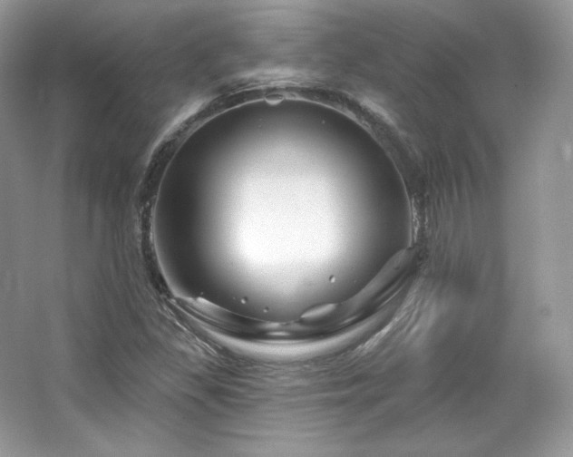 X0000065261309200602171444