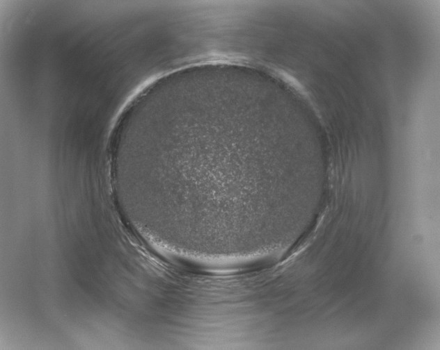 X0000065261310200602171444