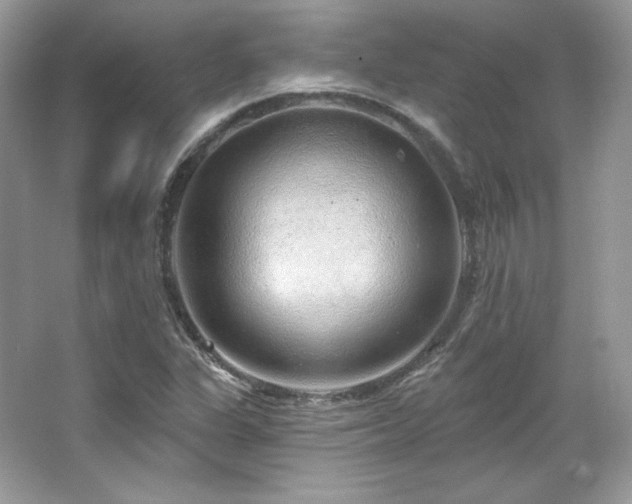 X0000065261311200602171444