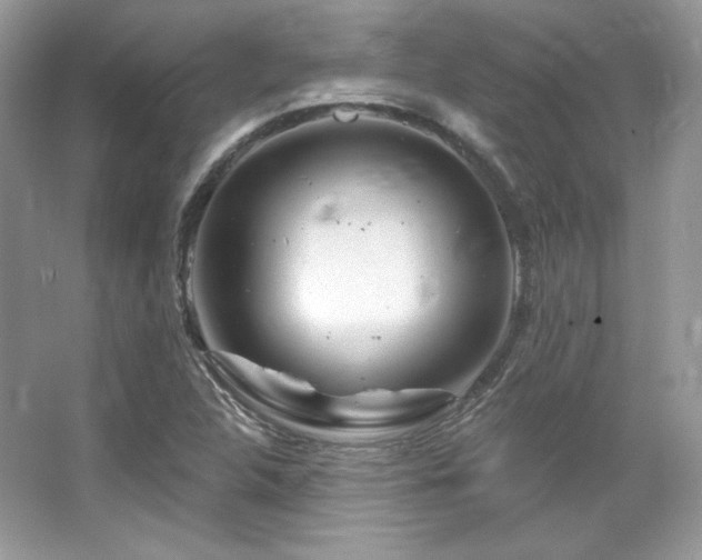 X0000065261312200602171444