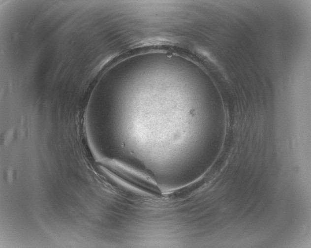 X0000065261313200602171444