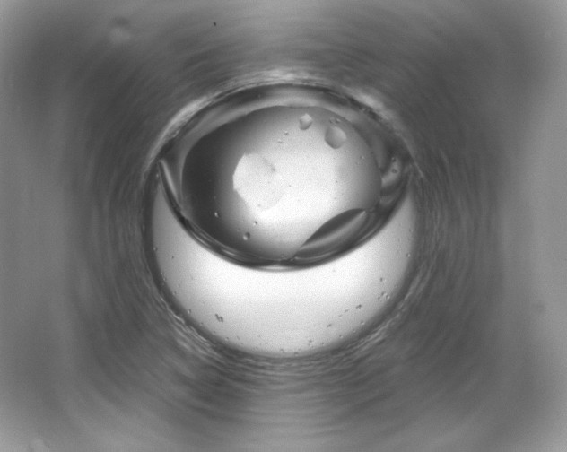 X0000065261314200602171444