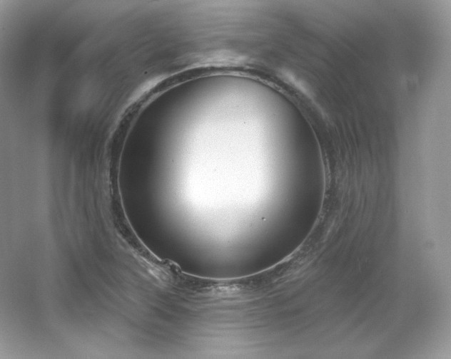 X0000065261315200602171444