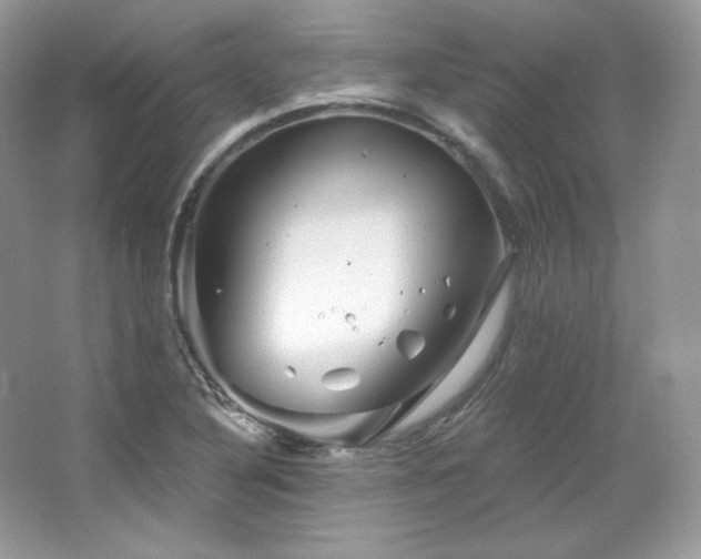 X0000065261316200602171444