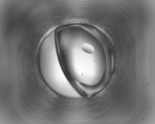 X0000065261317200602171444