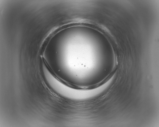 X0000065261318200602171444