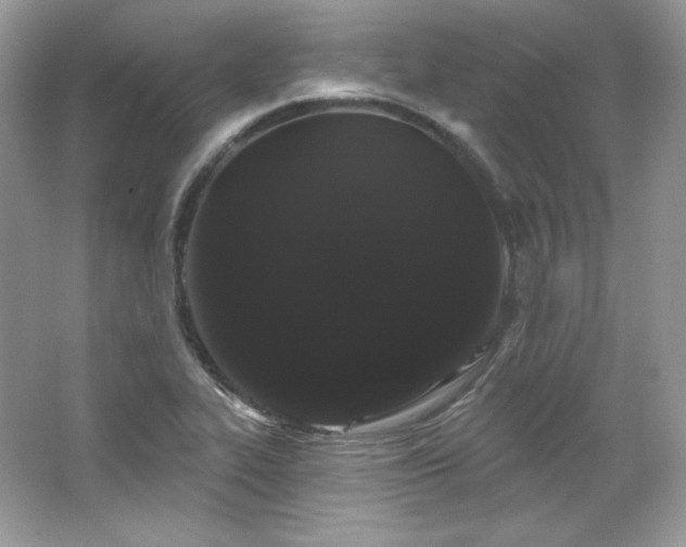 X0000065261319200602171444