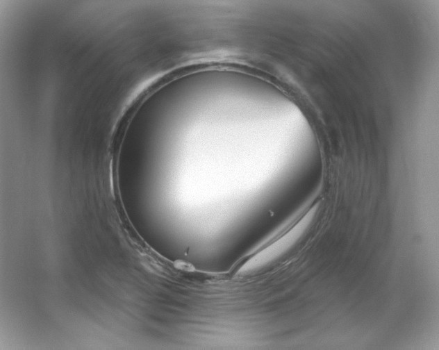 X0000065261320200602171444