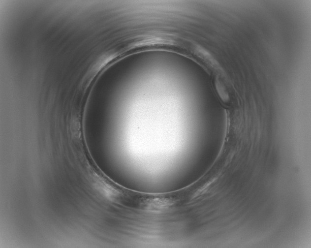 X0000065261321200602171444