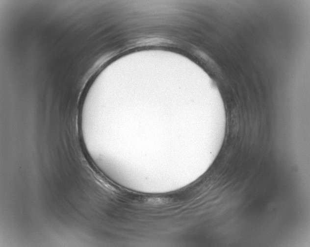 X0000065261322200602171444