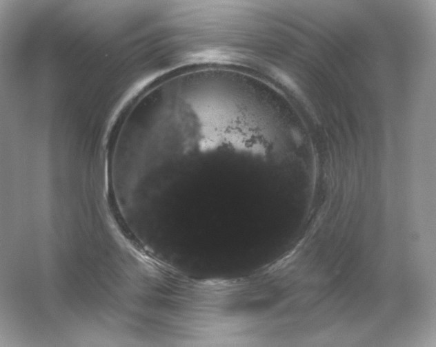 X0000065261323200602171444