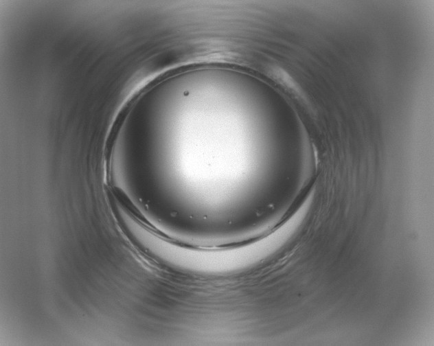 X0000065261324200602171444