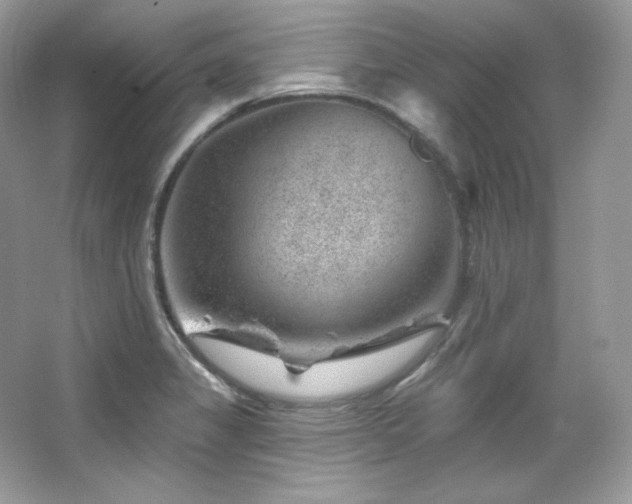 X0000065261325200602171444