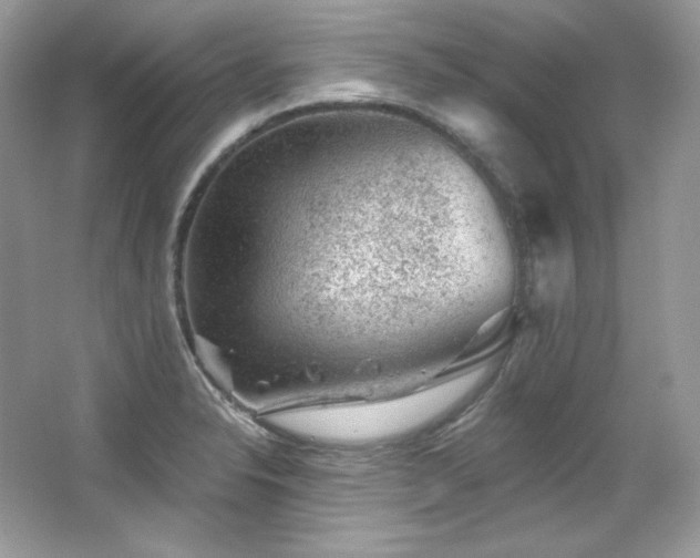 X0000065261326200602171444