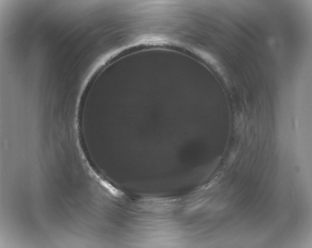 X0000065261327200602171444