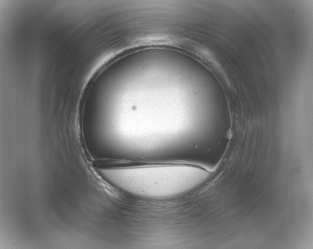 X0000065261328200602171444