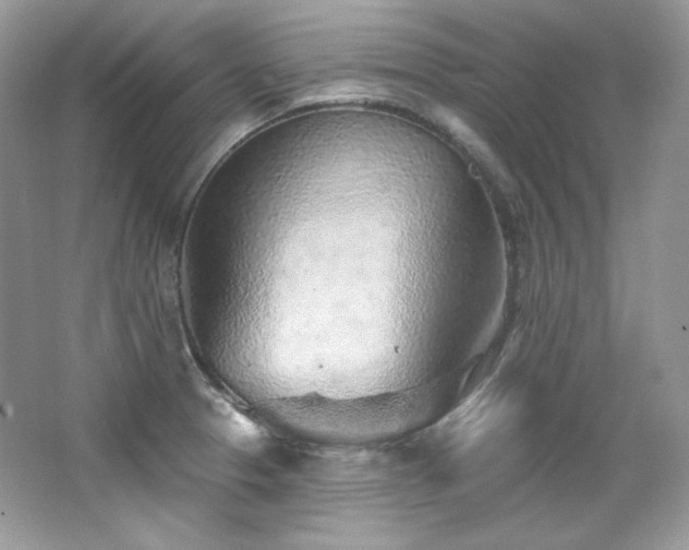 X0000065261329200602171444