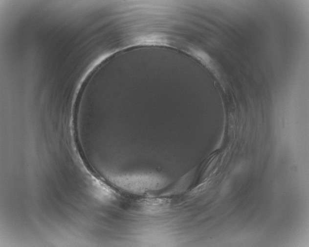 X0000065261331200602171444