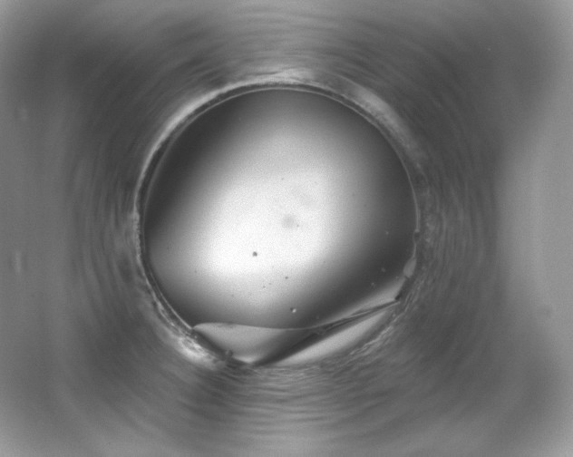 X0000065261332200602171444