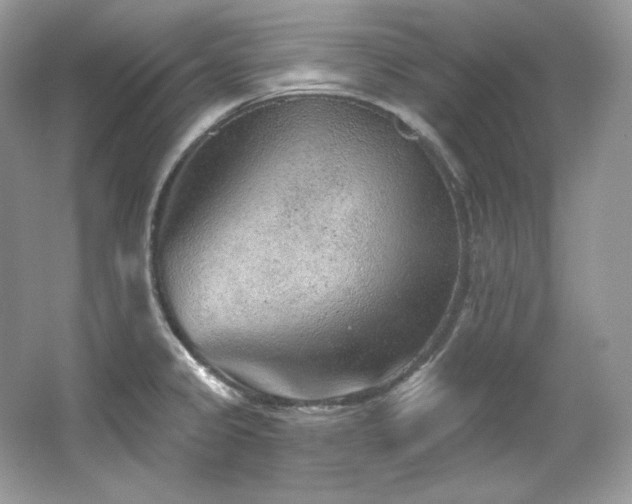 X0000065261333200602171444