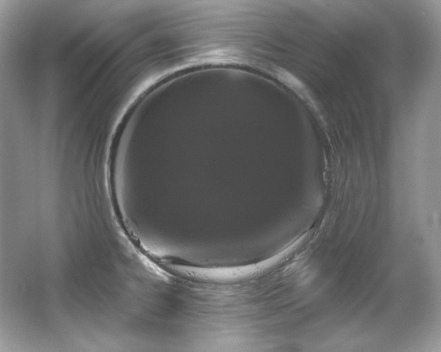 X0000065261334200602171444