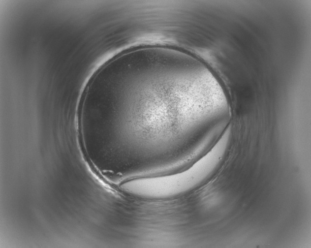 X0000065261335200602171444