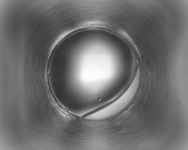 X0000065261336200602171444