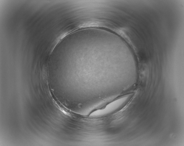 X0000065261337200602171444