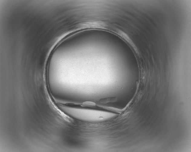 X0000065261339200602171444