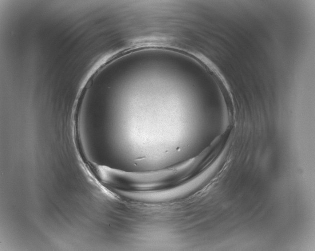 X0000065261341200602171444