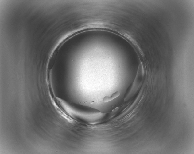 X0000065261342200602171444