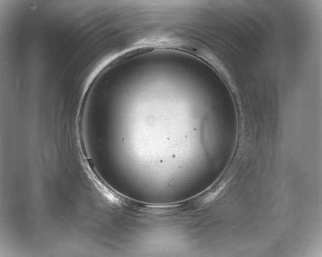 X0000065261344200602171444