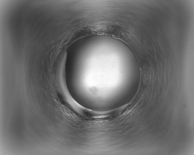 X0000065261345200602171443