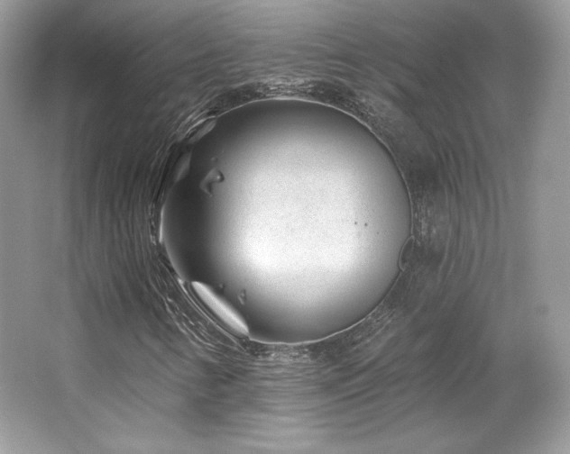 X0000065261346200602171443