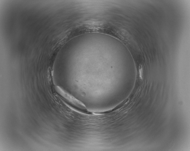 X0000065261347200602171443