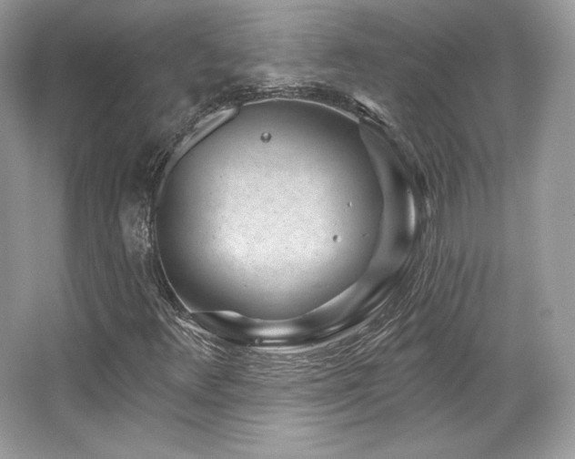 X0000065261348200602171443