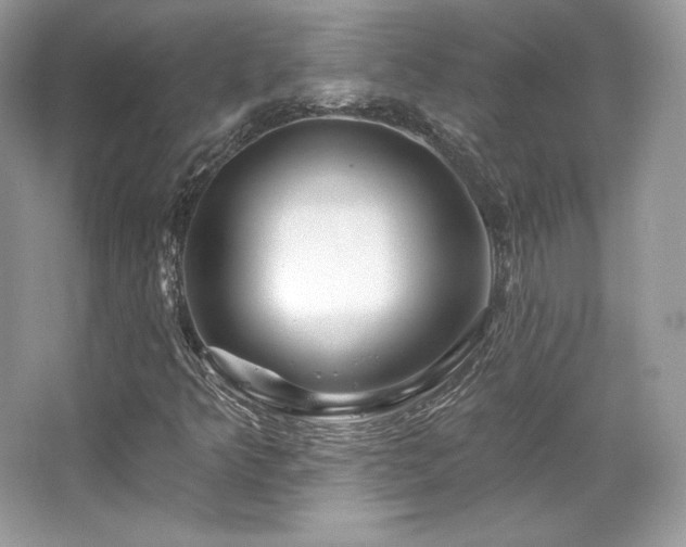 X0000065261349200602171443