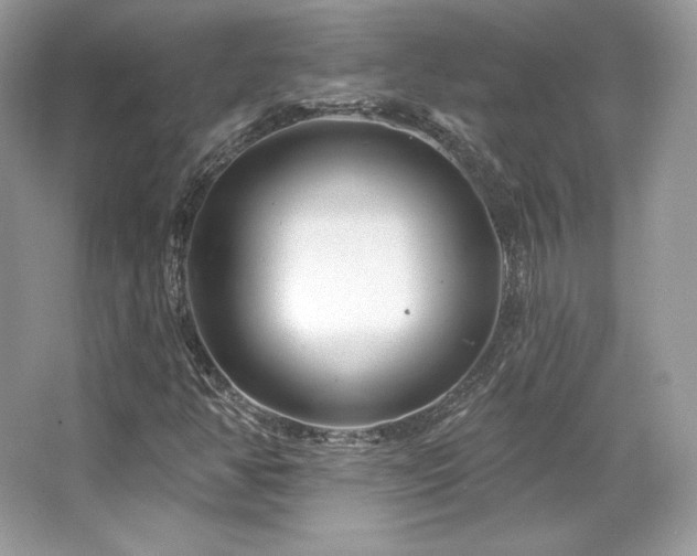 X0000065261350200602171443