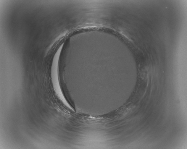 X0000065261351200602171443