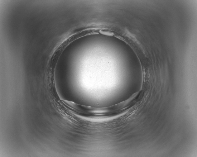 X0000065261352200602171443