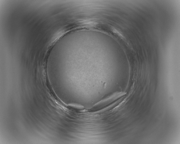 X0000065261354200602171443